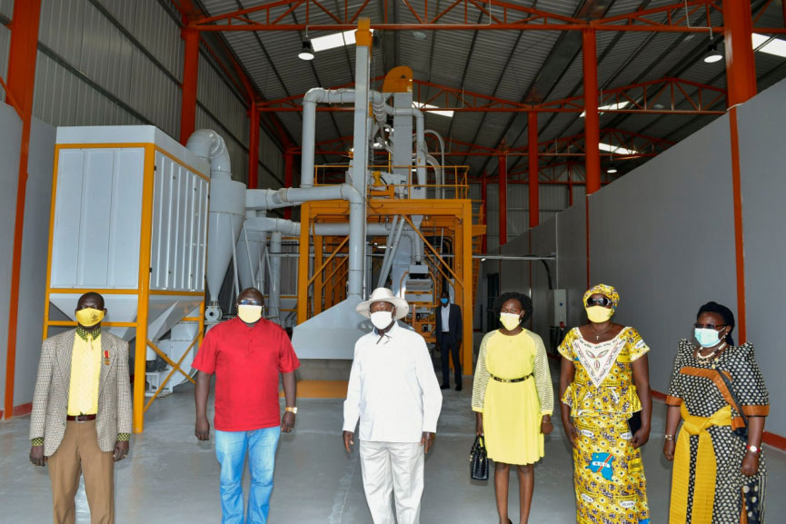 Display Of Pingle Grain Processing Projects