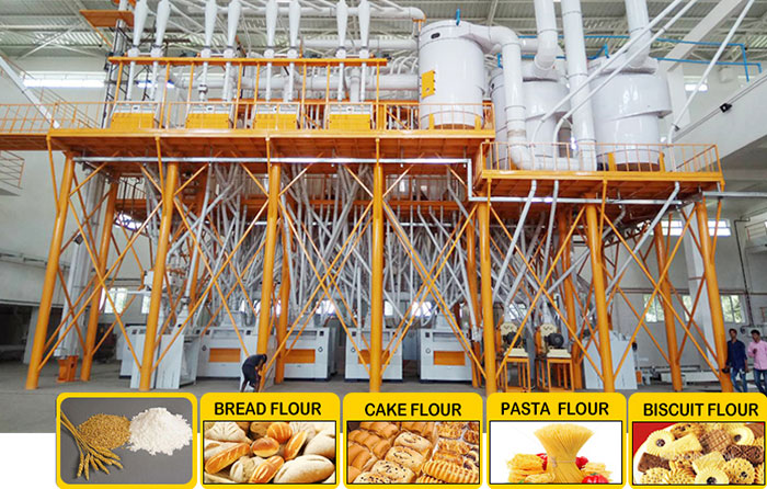 Wheat Flour Mill Plant