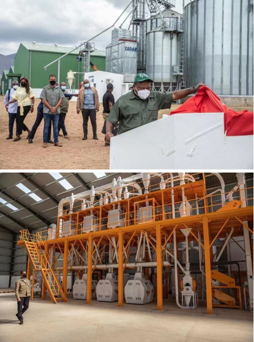 President of Mozambique Visited PINGLE 50T Maize Flour Milling Machine in Malema