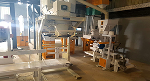 250TPD Maize Milling Machine