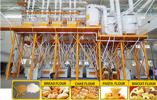 Wheat Flour Mill Plant