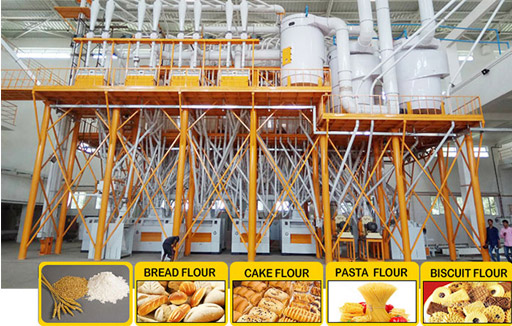 Wheat Flour Mill Plant