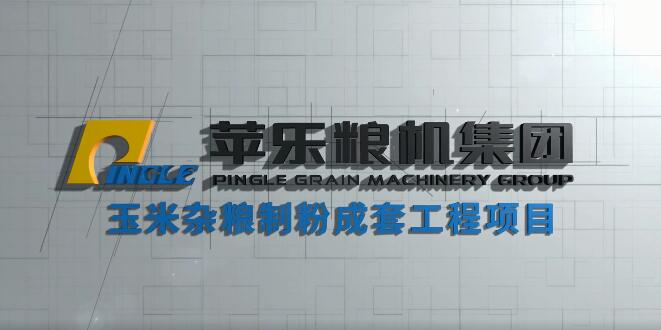 Pingle Group's Grain Machinery Engineering Equipment