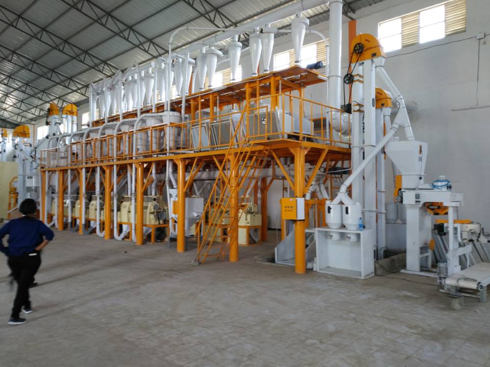 20-80 TON fully automatic flour mill plant