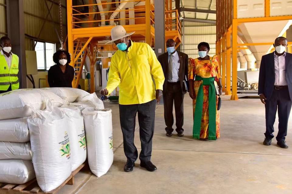 Maize Flour Milling Plant Special for Uganda Market