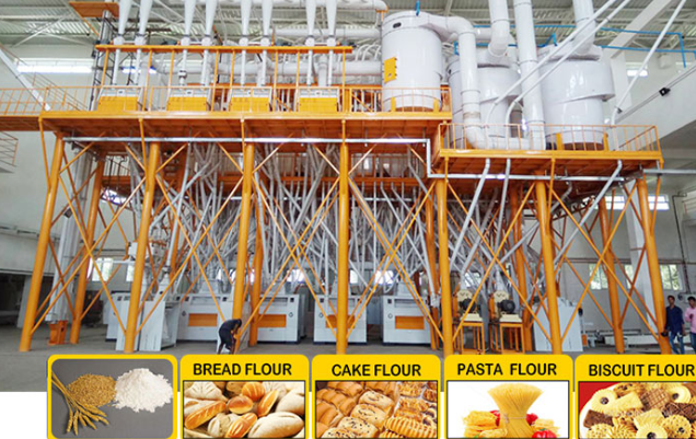 What Effect Does the Number of Teeth of a Flour Machine Have on the Quality of Flour?