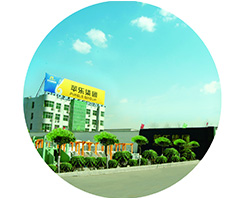 In 2003 Establishing Hebei Pingle Flour Machinery Group Co. Ltd.