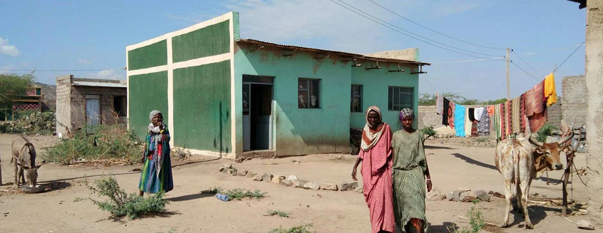 Bulid houses for Local