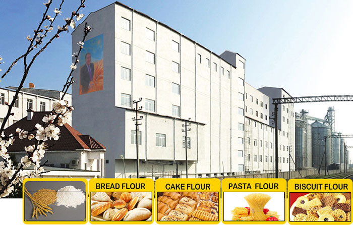 Multi-story Flour Milling Plant