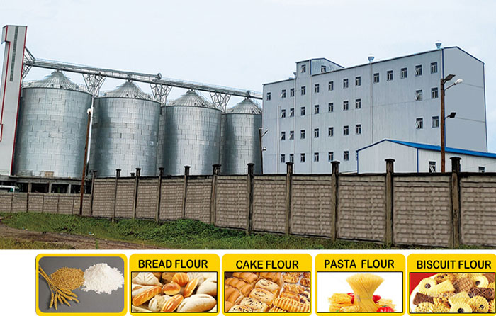 Multi-story Steel Structure Wheat Flour Milling Plant/Machine