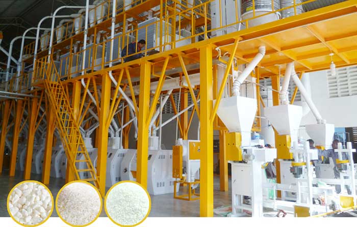 Complete Set of Maize Flour Milling Plant