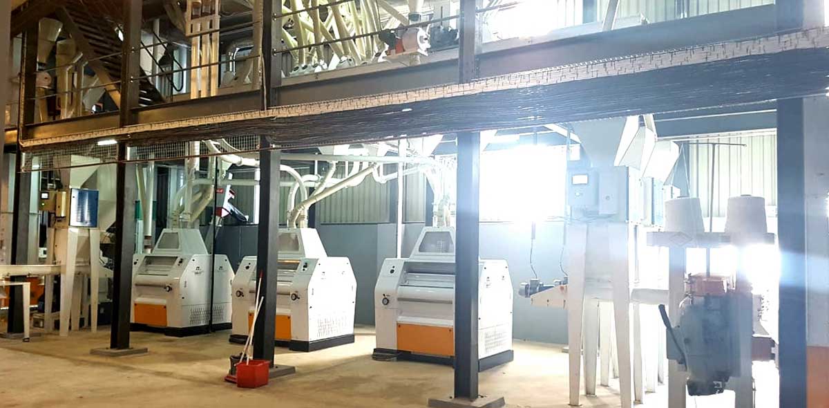 Zimbabwe 150TPD Maize Milling Plant