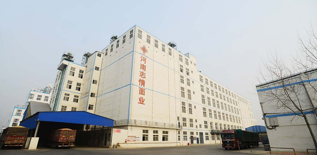 China 1400TPD Wheat Milling Plant