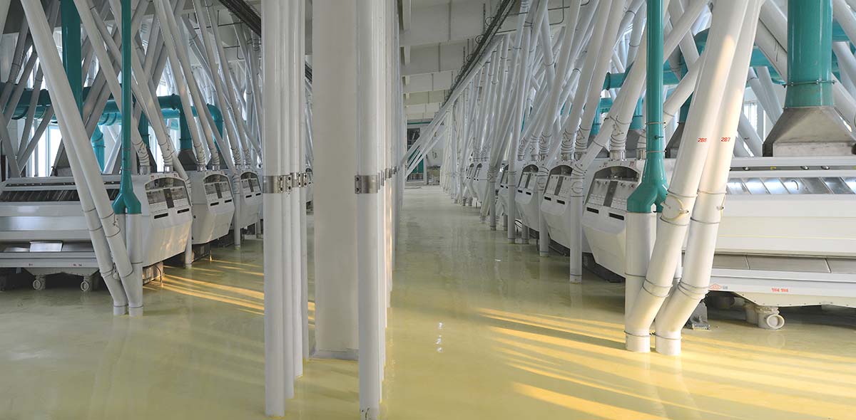 China 1400TPD Wheat Milling Plant