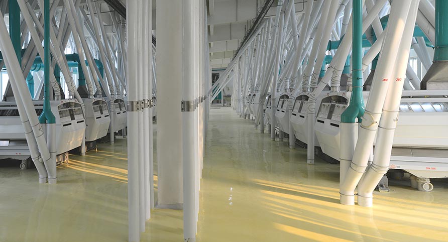 China 1400TPD Wheat Milling Plant