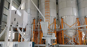 Ethiopia 220TPD Wheat Milling Turnkey Project