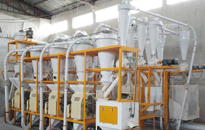 flour milling plant