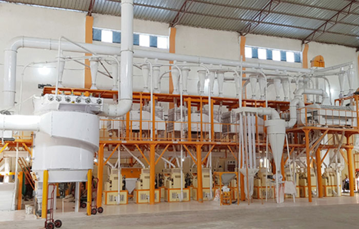 flour milling plant