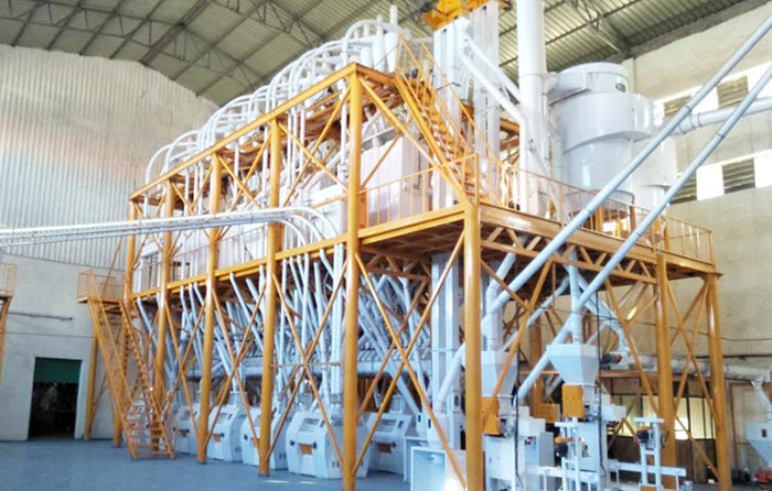 Steel Structure Wheat Flour Milling Plant