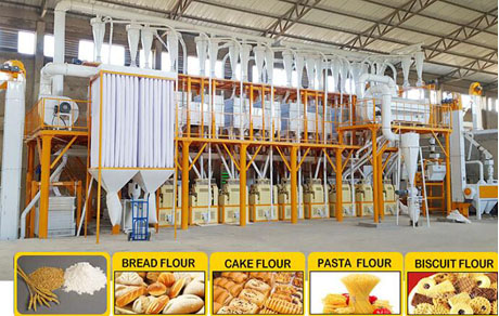 flour mill business plan