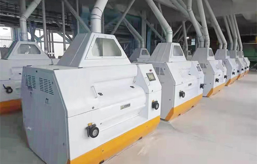 Corn/wheat flour machinery