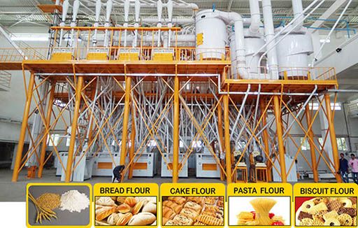 Steel Structure Wheat Flour Milling Plant: A Cost-Effective Solution for the Flour Milling Industry