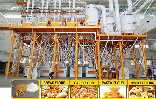 Working Principle and Advantages of a Steel Structure Wheat Flour Milling Plant
