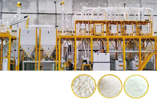 Business Potential For Investing In A Maize Milling Plant In South Africa