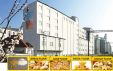 Crafting a Comprehensive Wheat Flour Mill Business Plan in Ethiopia