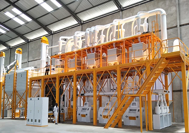 Maize Milling with Hammer Mill