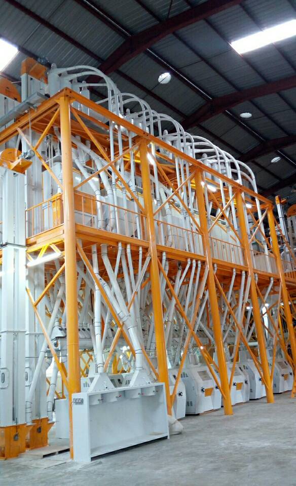 Typical wheat milling process steps include cleaning (impurity removal and moisture adjustment), milling (endosperm separation and grinding and four cleanings), and packaging.