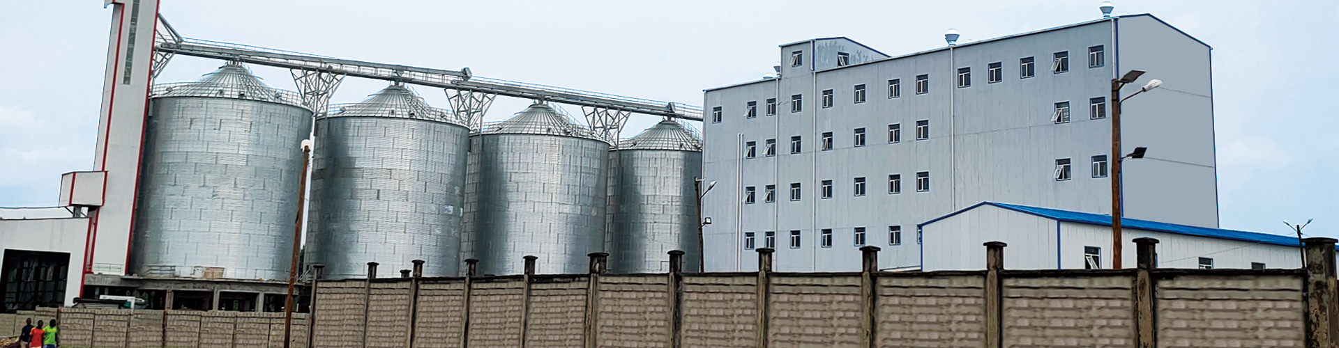Flour processing is also known as flour grinding or flour milling. A complete grain milling equipment usually includes grain pretreatment process (cleaning and shelling) and milling process. Flour processing plants process grain into flour products of different levels and uses.